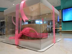 -西檬树SIMON·T轻奢蛋糕(大东方Max店)