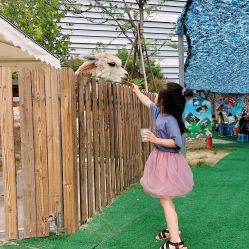 -萌宠亲子动物乐园(槐房万达店)