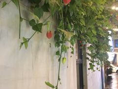 -周三的情书花园餐厅(江北店)
