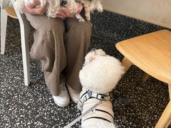 -小意思咖啡店(草桥店)