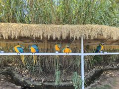 -西霞口神雕山野生动物世界