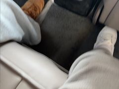 -阿拉木汗餐厅(山大路店)