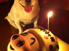 麦兜蛋糕-面包新语(KKMALL京基店)