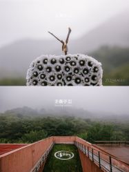 -美薇亭婚礼顾问