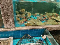 -码头鲜精致威海菜(欧乐坊店)