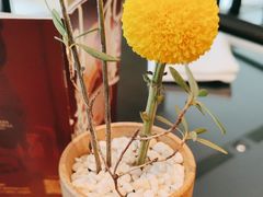 -西村日本料理(香格里拉饭店)