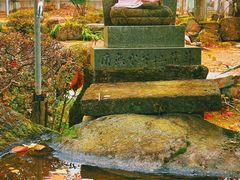 -医王山·飞騨国分寺