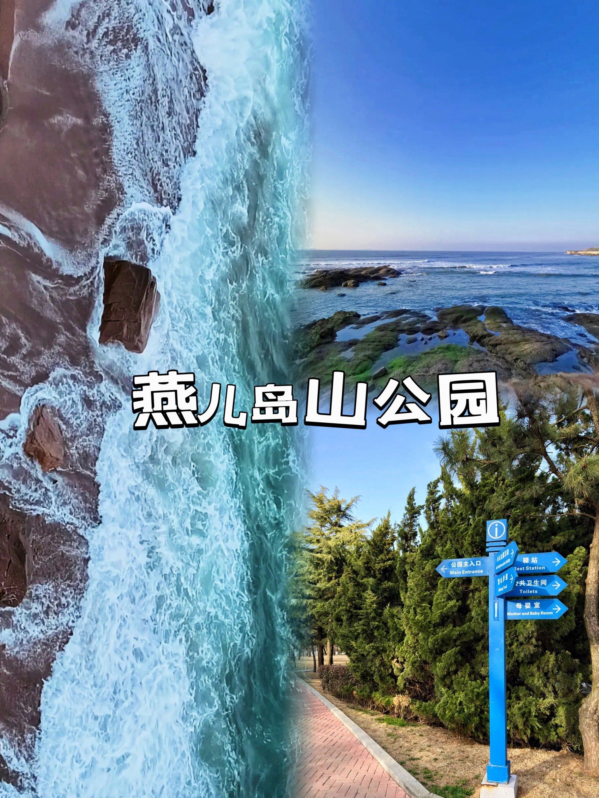 别躺了,来燕儿岛山公园踏青吧