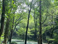 -黄公望隐居地