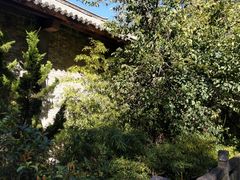 -天龙八部武侠城