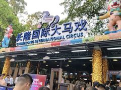 -广州长隆国际大马戏