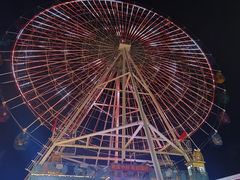 -飞来湖湿地公园