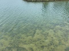 -五里桥文化公园-西侧停车场