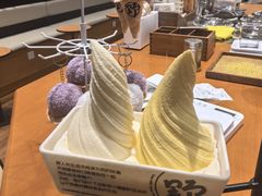 -野人先生现做冰淇淋(北京环宇荟店)