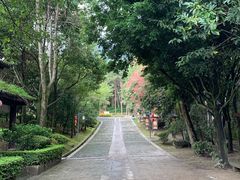 -天龙八部武侠城