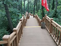 -鲁山国家森林公园