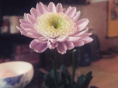 -大观园影院式足浴Spa店(沙坪坝店)