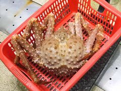 -蚝专家(北滘店)