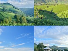 -阿露佳·舌尖上的安吉菜