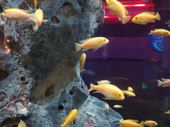 -福州罗源湾海洋世界旅游区
