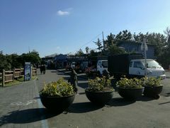 -龙头岩(Dragon Head Rock)