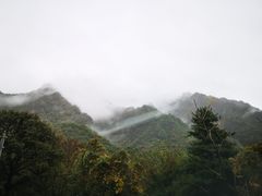 -秦岭风景区
