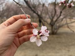 -太阳宫公园