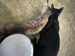 -南京工程学院(江宁校区)