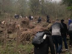 -宅天下装饰·匠心筑家(春熙店)