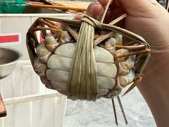 -乡乐园蟹庄·阳澄湖农家乐