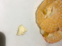 -大雄九老菜馆(南门桥店)