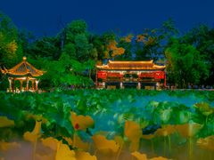 -房湖公园