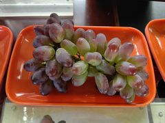 -马陆小张葡萄园农家乐