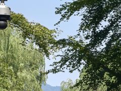 -西湖天地