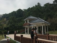 -火炉山森林公园
