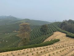 -听风阁农家私房菜茶楼(龙坞店)