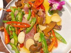 鲜炒黑牛肝菌-紫滇源云南生态菜(丹凤街店)