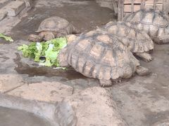 -哈尔滨北方森林动物园
