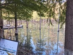 -泗洪洪泽湖湿地景区