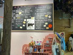 -喵屿·大理花园猫咖