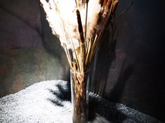 -IES Restaurant(去未舍店)