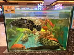 -聚福宝合苑食府(南头镇店)