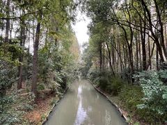 -同里国家湿地公园