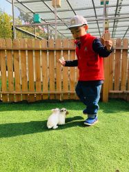 -萌宠亲子动物乐园(槐房万达店)