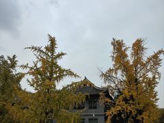 -四川大学(华西校区)