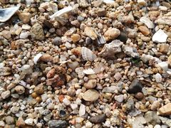 -东戴河风景区-止锚湾