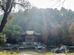 -顺峰山公园