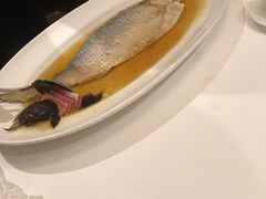 陈年花雕蒸鲥鱼-福1088