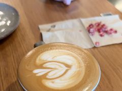 -Wagas沃歌斯(枫蓝国际店)