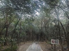 -紫金山山顶公园